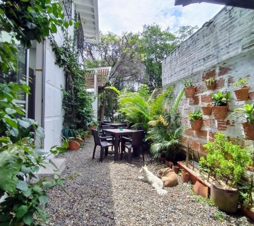 Photo of Others in Patio Bonito