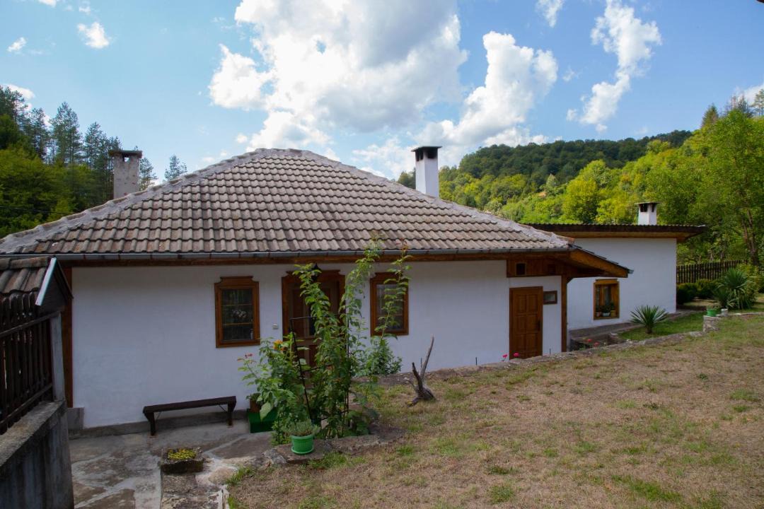 Photo of Others in Tryavna