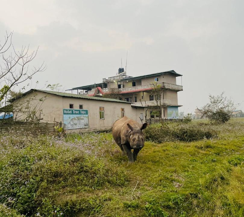 Photo of Others in Sauraha