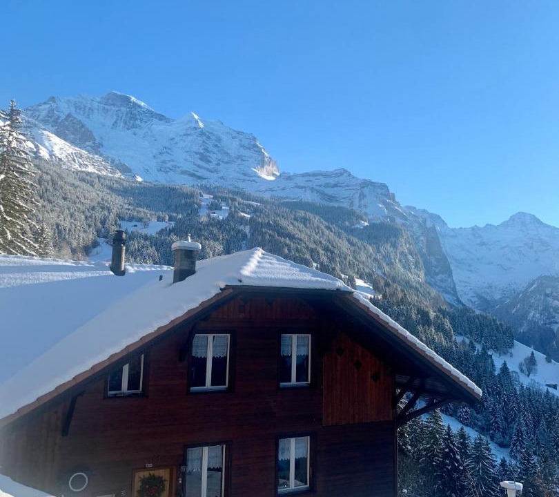 Photo of Others in Wengen