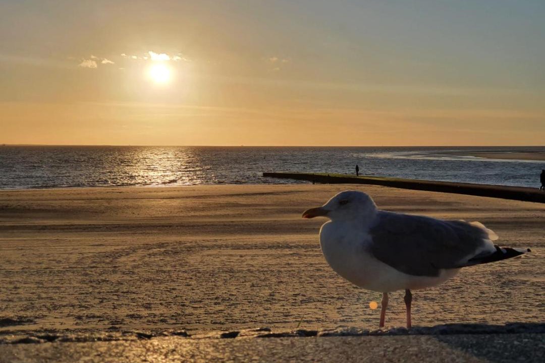 Photo of Outdoor in Borkum