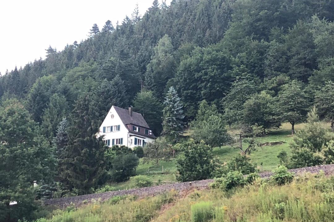 Photo of Others in Calw