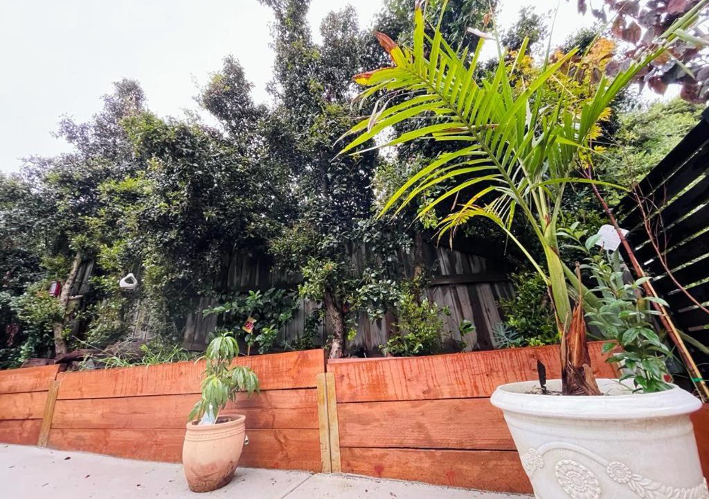 Photo of Patio Balcony in Frankston South