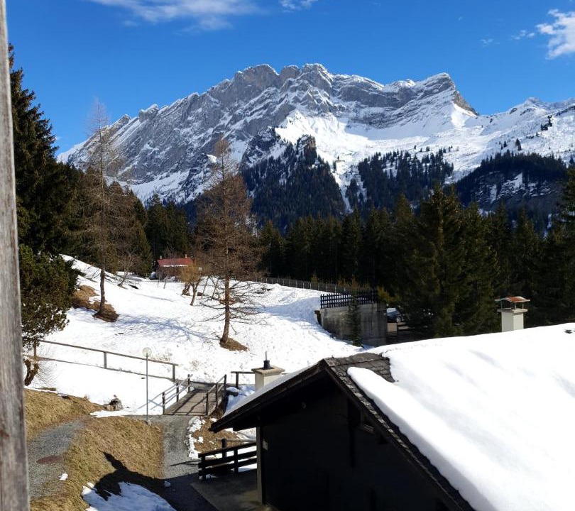 Photo of Others in Alpe des Chaux