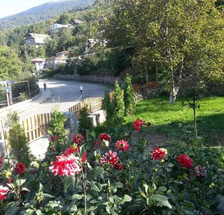 Photo of Others in Dilijan