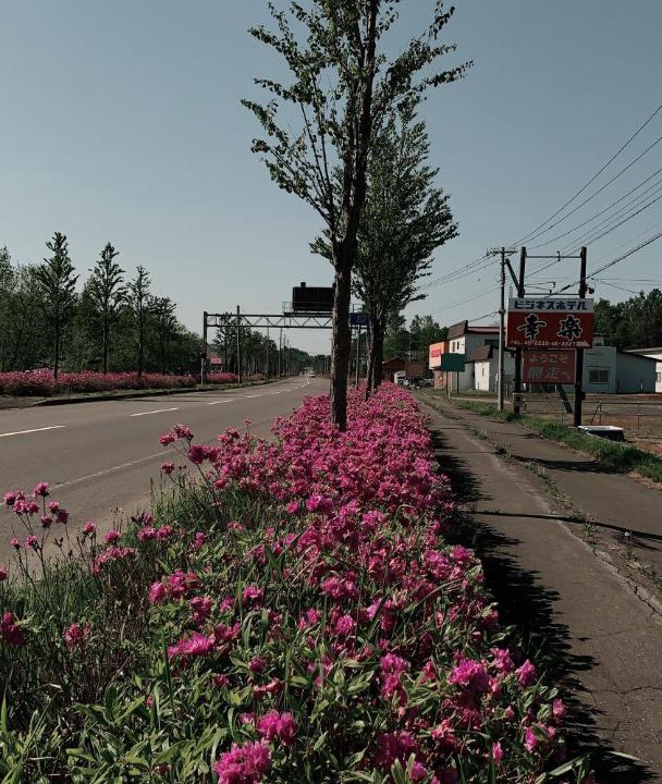 Photo of Others in Abashiri