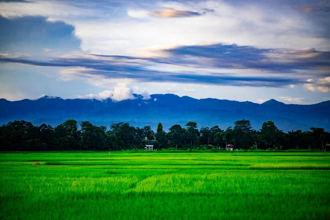Photo of Others in Kawasoti