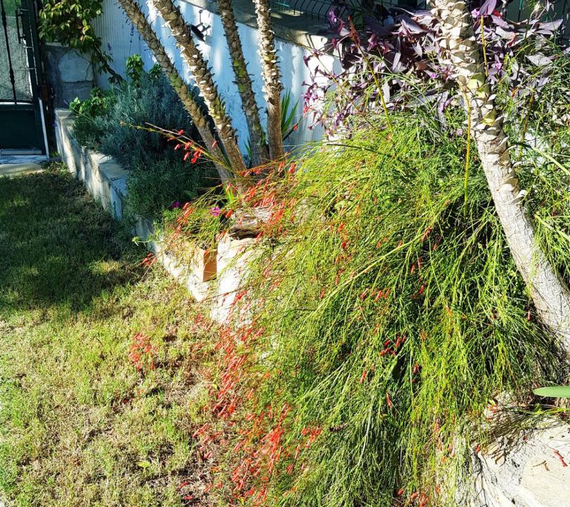 Photo of Outdoor in Gocek