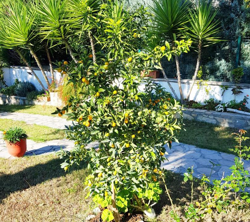 Photo of Others in Gocek