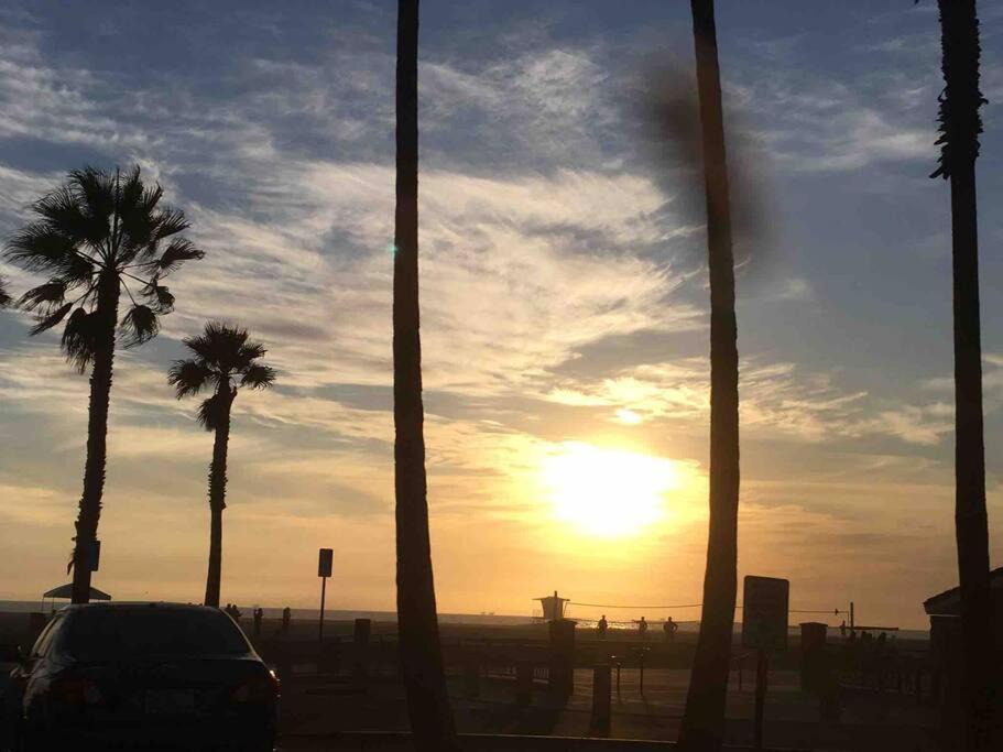 Photo of Others in Playa Del Rey