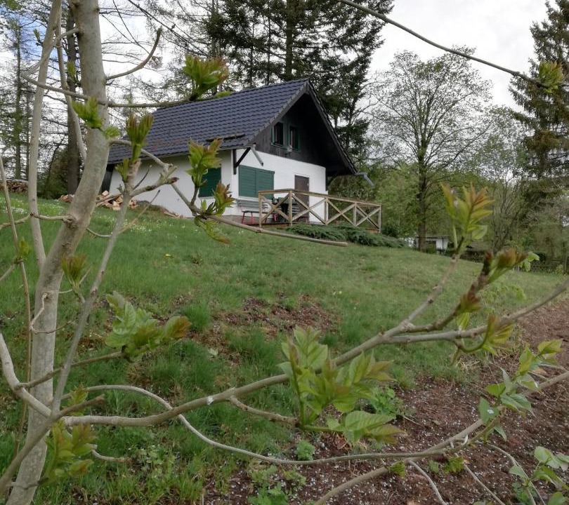 Photo of Buildings in Stolberg