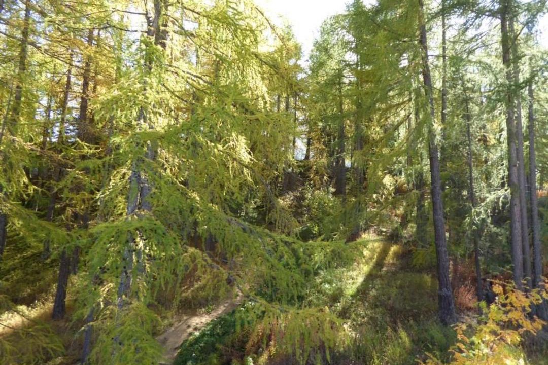Photo of Outdoor in Saas-Fee