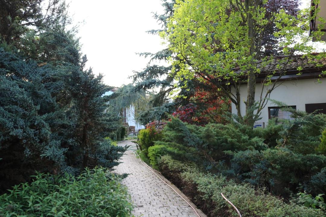 Photo of Buildings in Koprivshtitsa