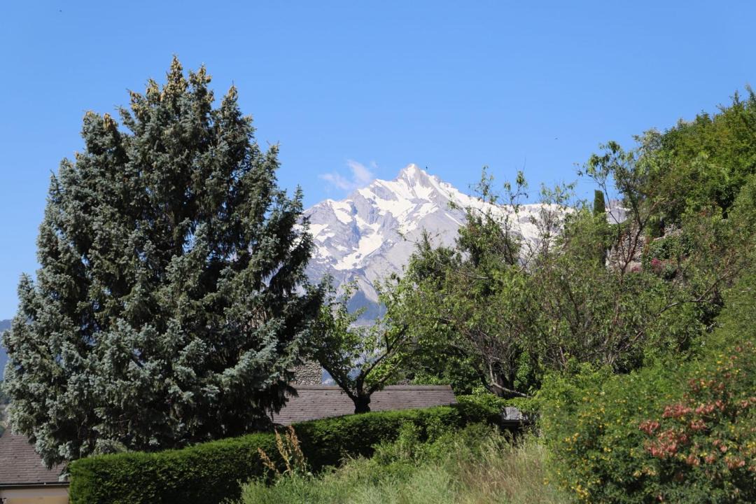 Photo of Others in Sion