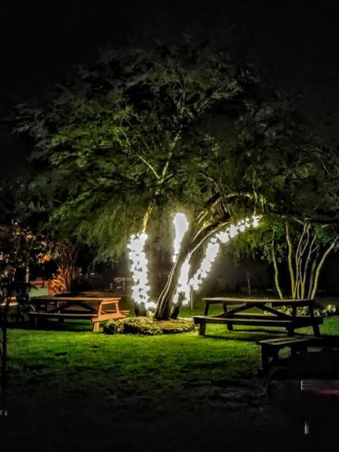 Photo of Others in Boerne