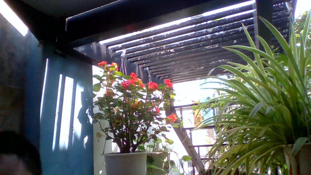 Photo of Others in Cam An