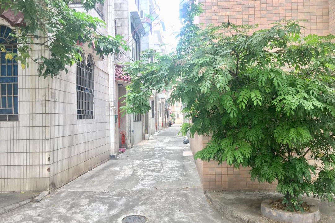 Photo of Others in Shunde
