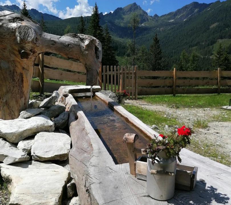 Photo of Patio Balcony in Forstau