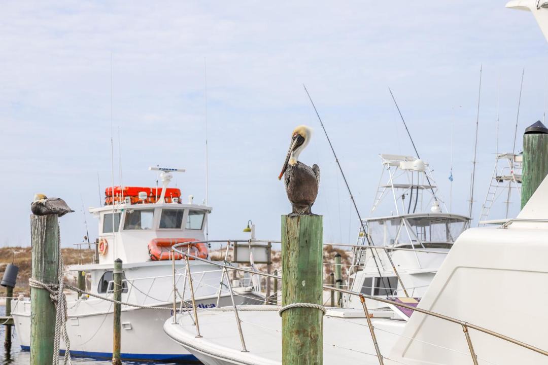Photo of Others in Holiday Isle