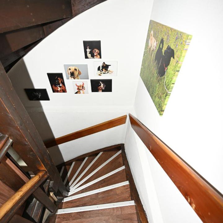 Photo of Others in Imst