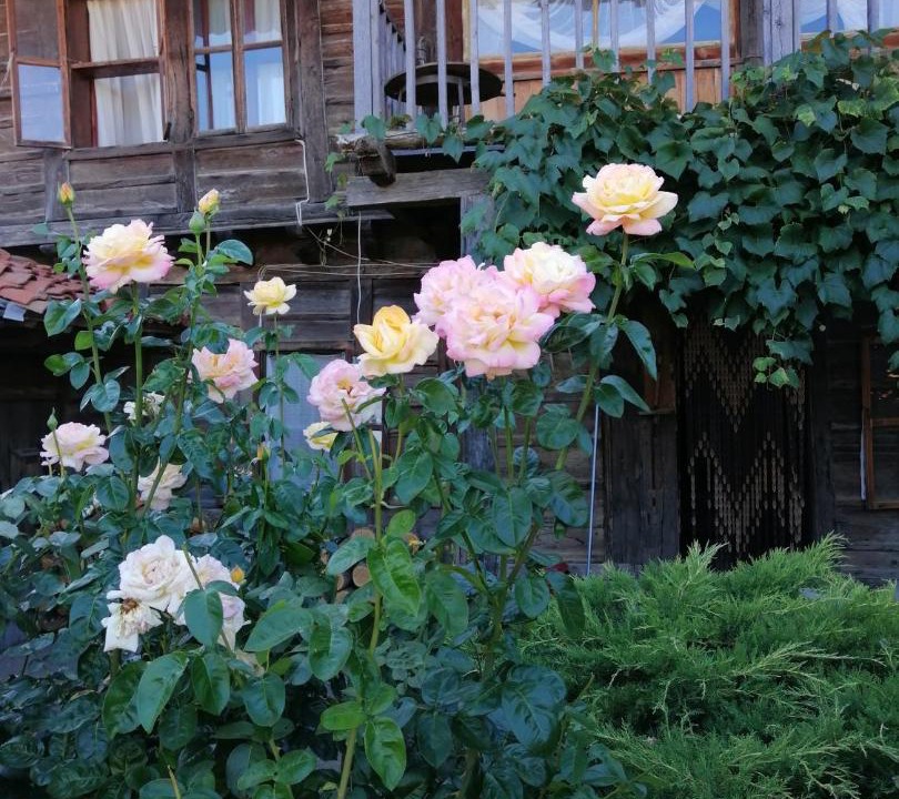 Photo of Others in Zheravna