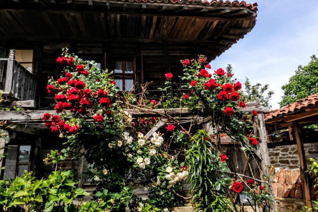 Photo of Buildings in Zheravna