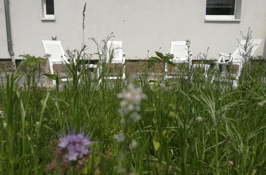 Photo of Buildings in Nordwest