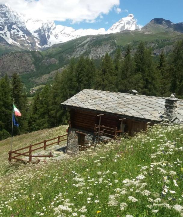 Photo of Others in Valtournenche