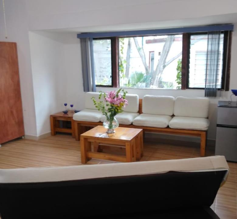 Photo of Livingroom in Salvatierra