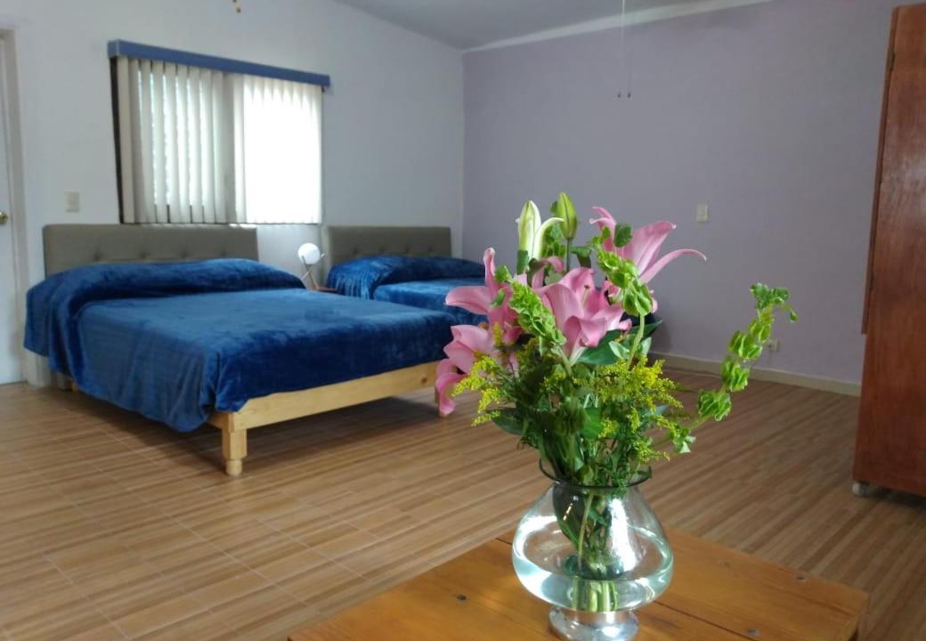 Photo of Bedroom in Salvatierra