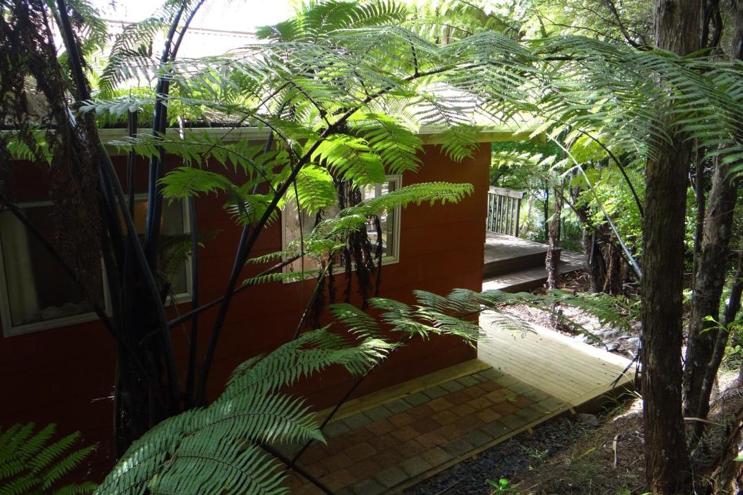 Photo of Others in Tawharanui