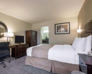 Photo of Bedroom in Pico-Union