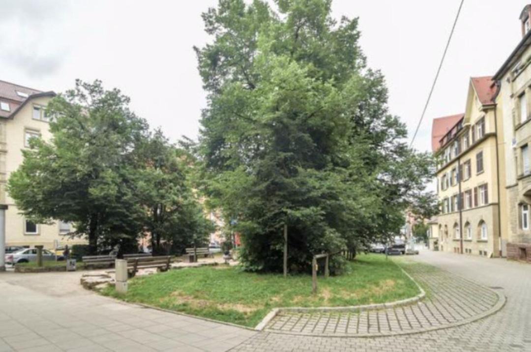 Photo of Buildings in Heslach
