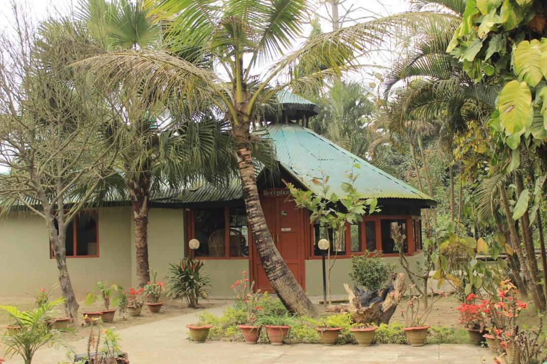 Photo of Buildings in Sauraha