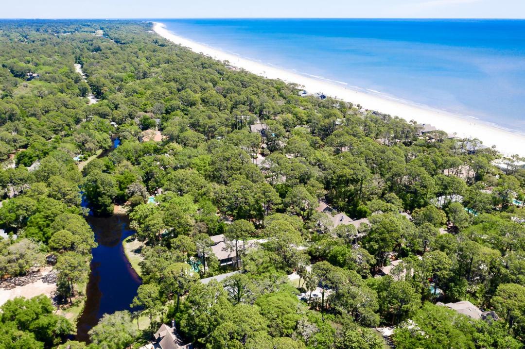 Photo of Others in Sea Pines