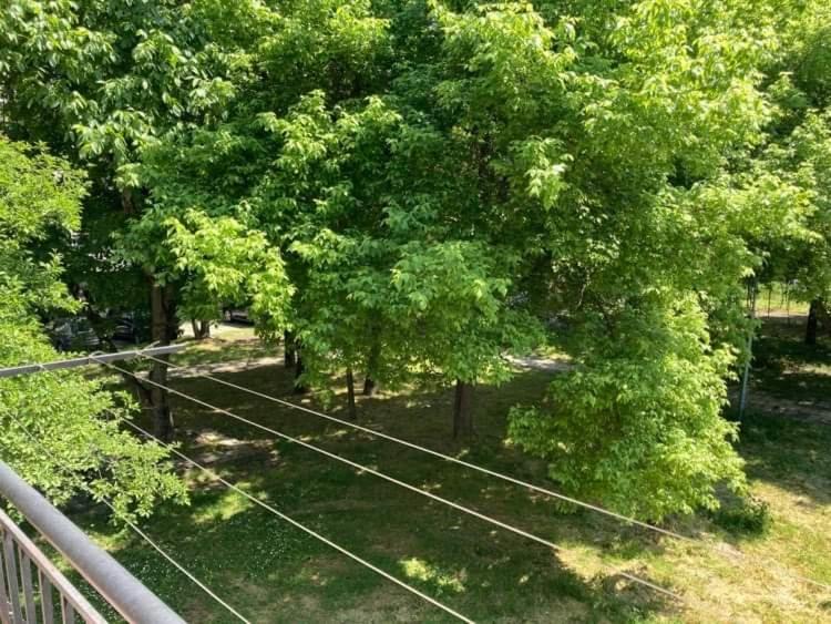 Photo of Outdoor in Plovdiv