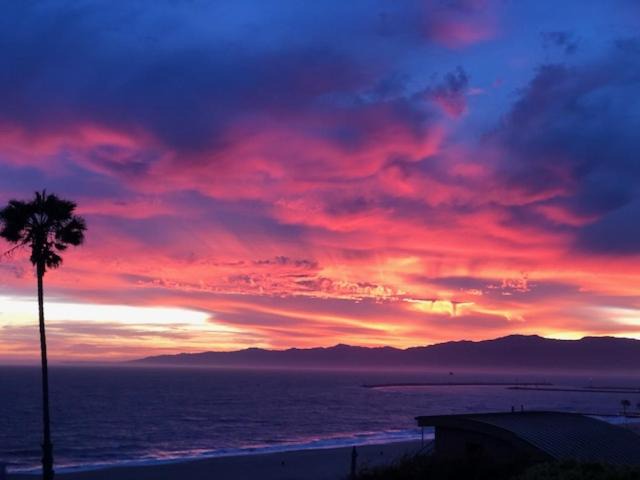 Photo of Others in Playa Del Rey