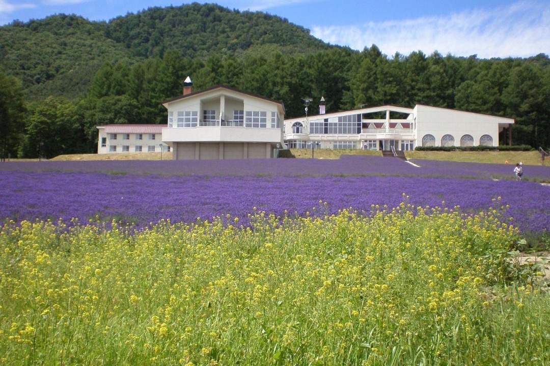 Photo of Others in Shimanoshita