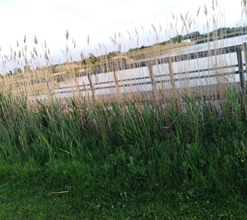 Photo of Others in Bredene