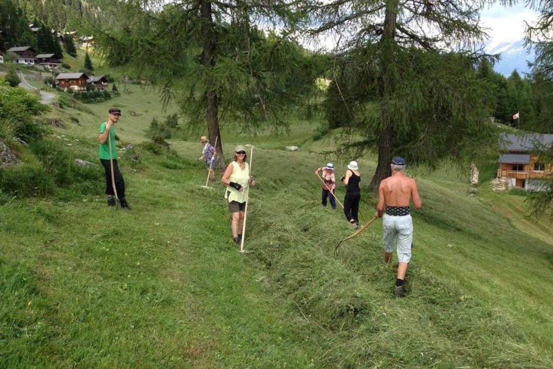 Photo of Human In Picture in Riederalp