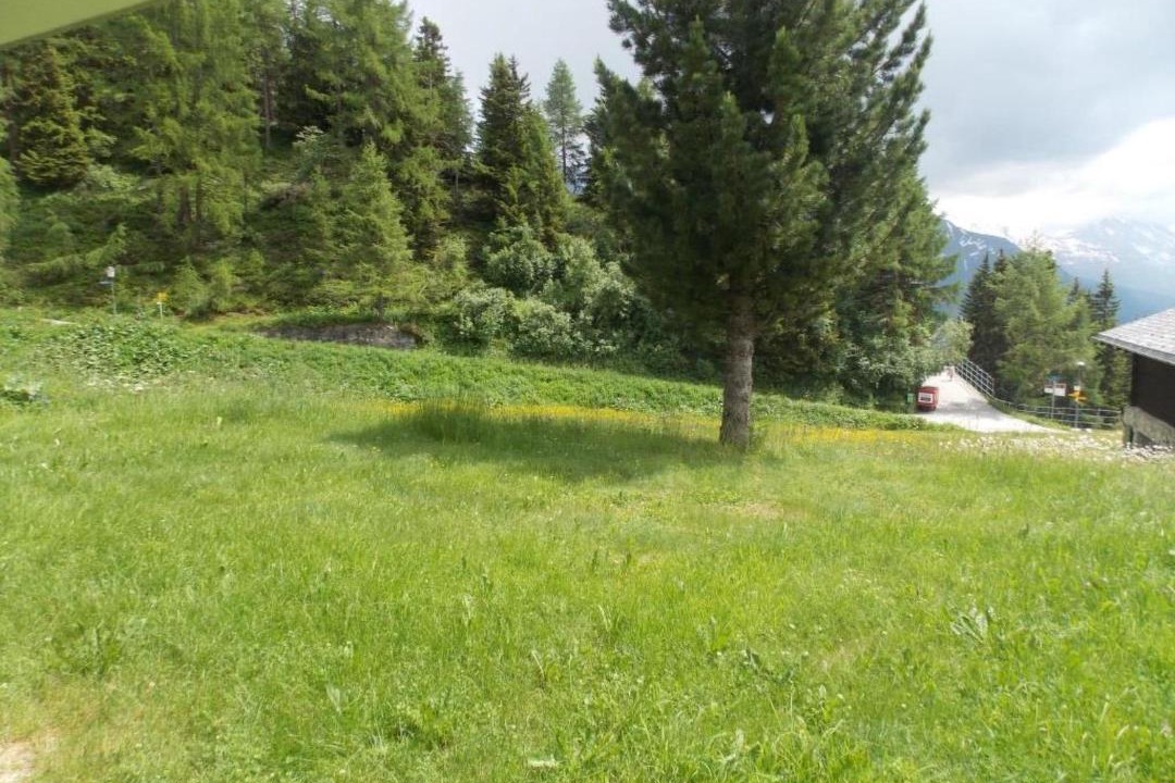 Photo of Others in Riederalp