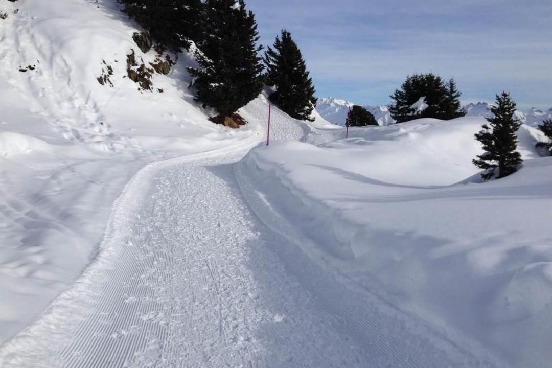 Photo of Outdoor in Riederalp