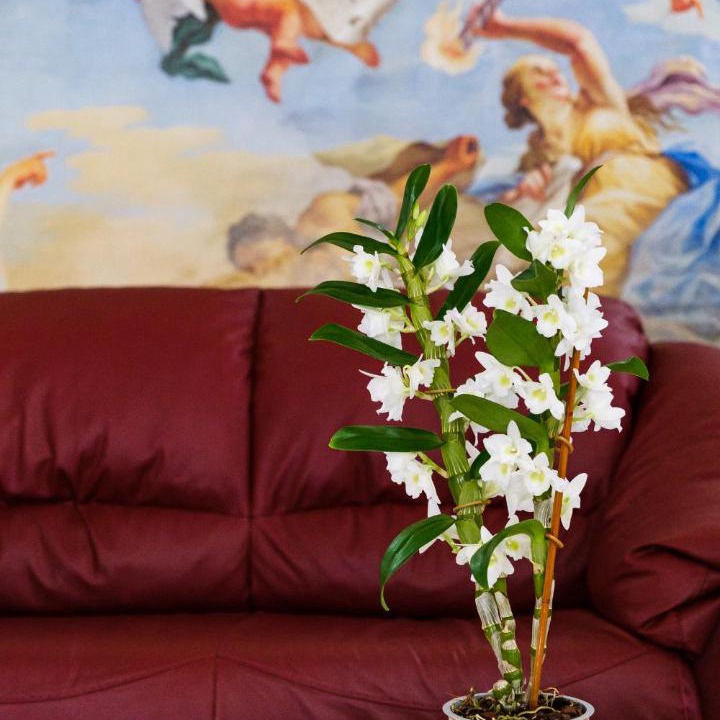 Photo of Livingroom in Giurdignano