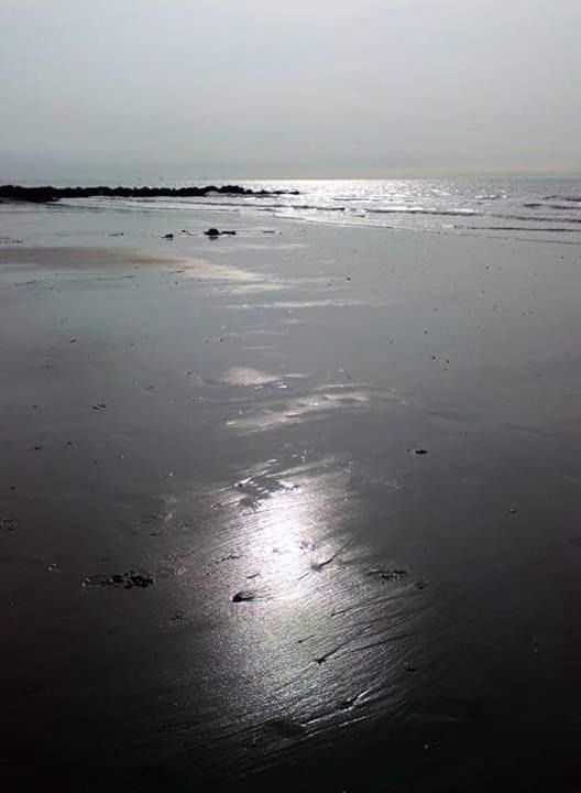 Photo of Outdoor in Bredene