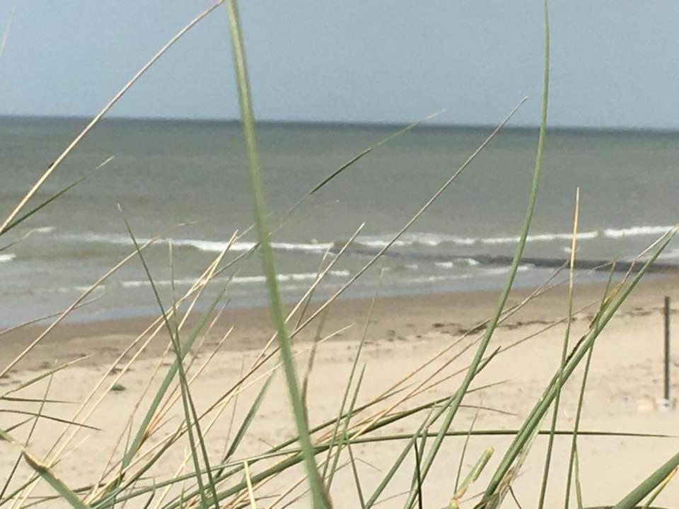 Photo of Others in Bredene
