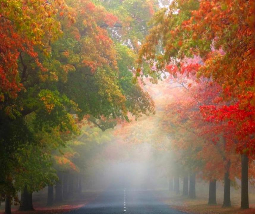 Photo of Others in Mount Macedon