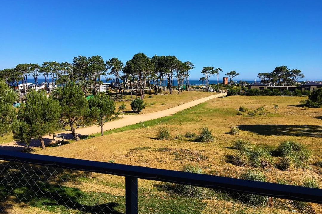 Photo of Others in Jose Ignacio