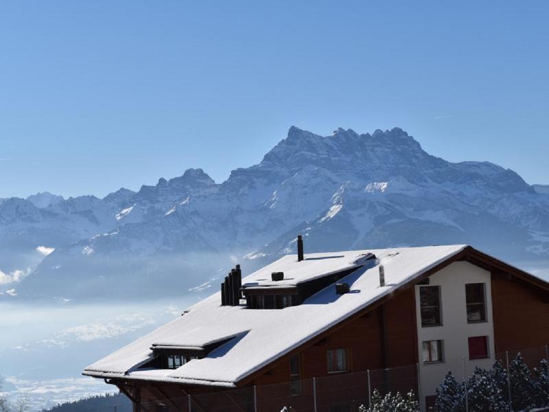 Photo of Others in Leysin