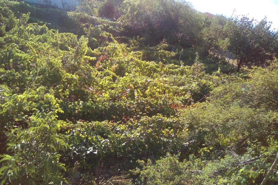 Photo of Outdoor in Primorski