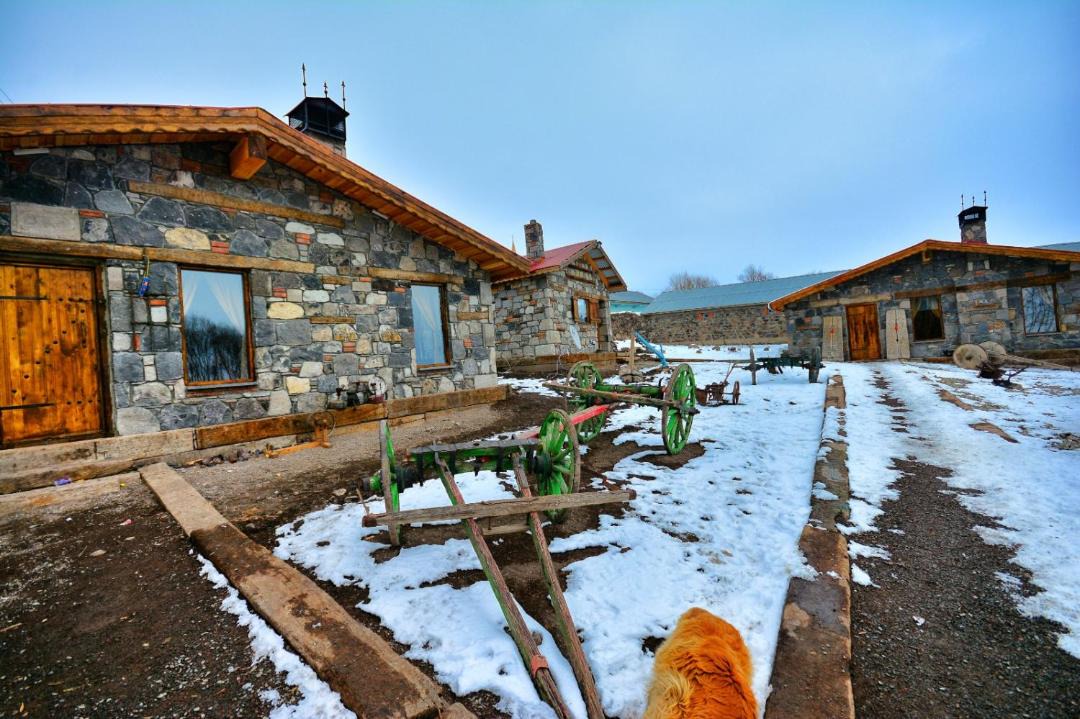 Photo of Others in Selim